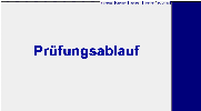 E-Check Pruefungsablauf und anderen Informationen (pdf-Datei mit 500kB)