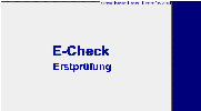 E-Check Erstpruefung