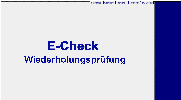 E-Check Wiederholungspruefung